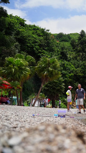 沙滩海边人物玩耍夏天玩水避暑夏天玩耍视频
