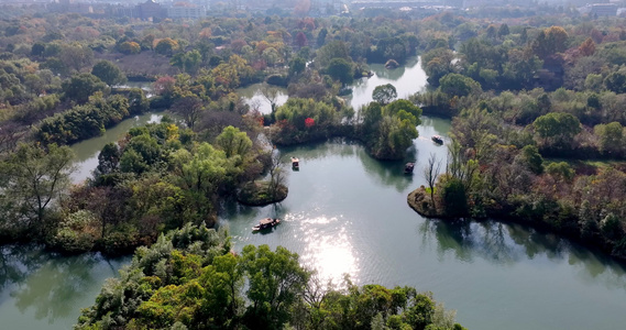 摇橹船在杭州西溪湿地河道中前行视频