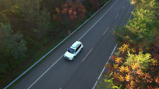 秋天公路山路汽车行驶视频