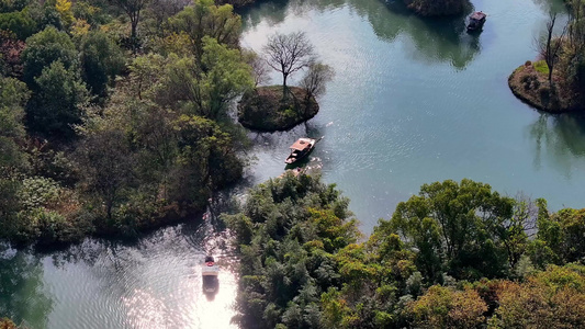 摇橹船在杭州西溪湿地河道中前行视频