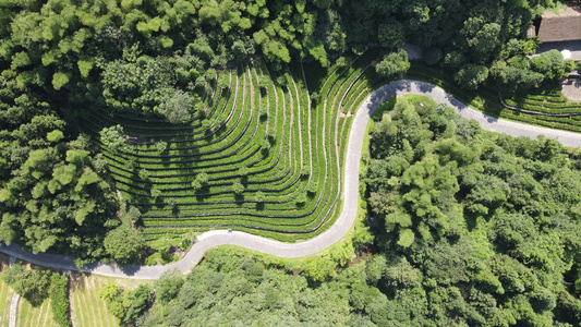 湖南常德桃花源5A景区航拍视频视频