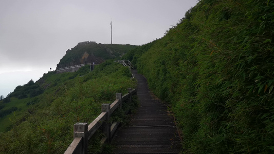 旅游景区湖北神农架5A景区视频