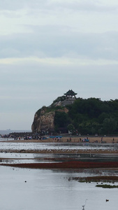 秦皇岛北戴河鸽子窝湿地十一黄金周视频