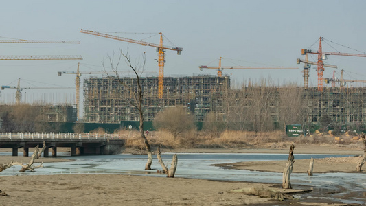 烂尾楼恒大地产枯树枯草荒凉视频