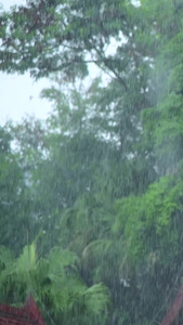 下雨天视频