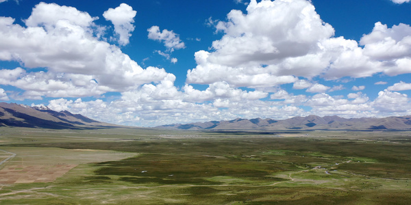 8K航拍西藏阿里地区高原草甸牛羊视频