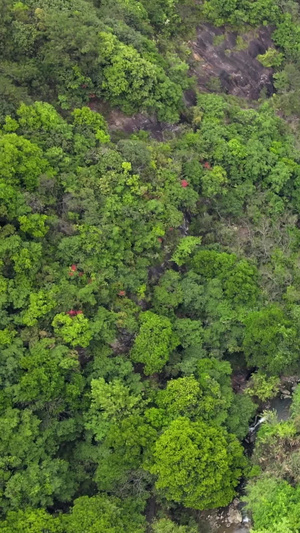 浙江丽水白云岩峡谷及玻璃栈道航拍合集天下龙泉72秒视频