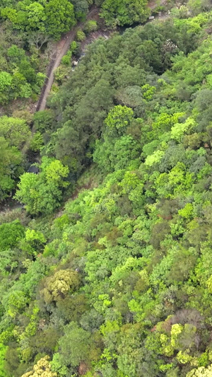 浙江丽水白云岩峡谷及玻璃栈道航拍合集天下龙泉72秒视频