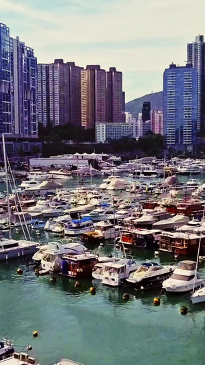 冷色调香港游船码头航拍海滨17秒视频