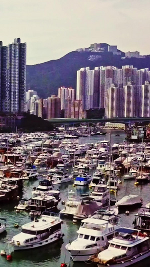 冷色调香港游船码头九龙湾17秒视频