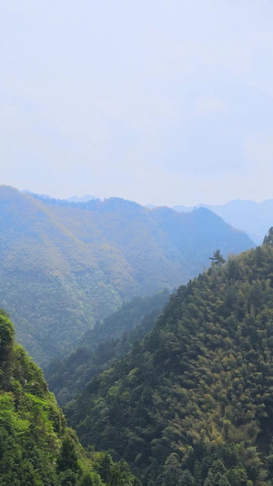 浙江南部森林山谷自然风光航拍合集森林氧吧53秒视频