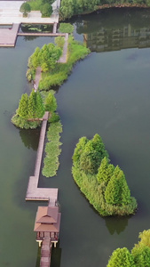 长沙洋湖湿地公园航拍视频自然风光视频