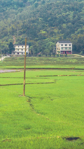 乡村田园自然风光 乡村公路视频