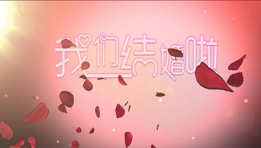 红色玫瑰飘落婚礼结婚片头视频视频