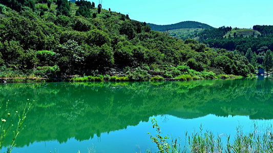 盛夏山亭区后观水库视频