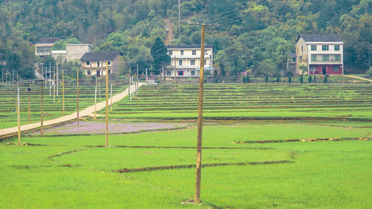 乡村田园自然风光 乡村公路视频