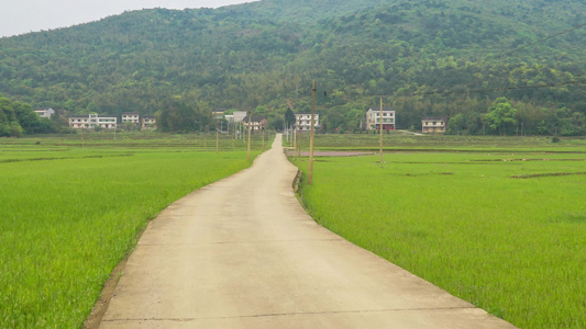 乡村田园自然风光 乡村公路视频