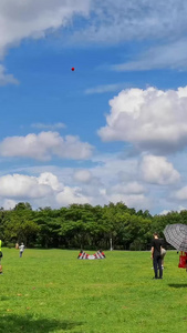 都市休闲生活方式假期在公园放风筝蓝天白云视频