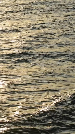 波光粼粼的水面自然风光14秒视频