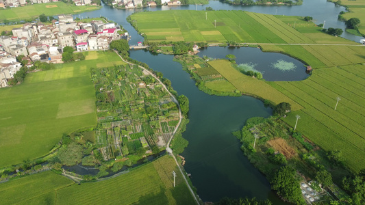 航拍莆田白塘湖唯美乡村湖水稻田老房子一幅画视频