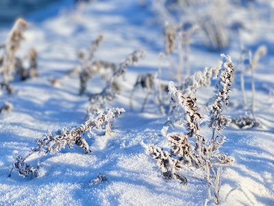 吉林雾凇岛松花江雪景视频