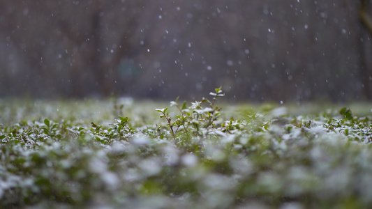 实拍四组雪景素材视频