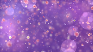 紫色动态唯美大气花瓣背景视频元素30秒视频