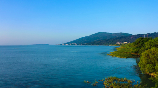 4K航拍太湖湿地视频