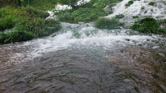 清澈的河流小溪溪水4K实拍视频