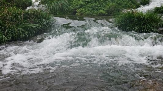 清澈的河流小溪溪水4K实拍视频