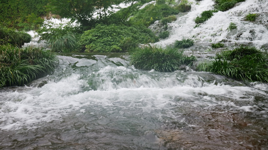 清澈的河流小溪溪水4K实拍视频