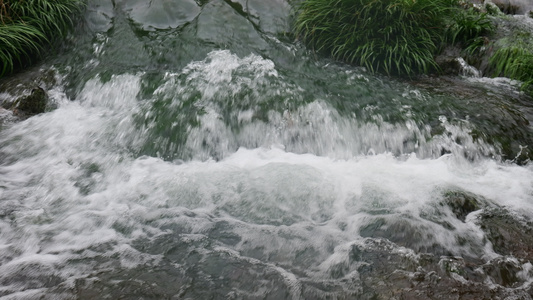 清澈的河流小溪溪水4K实拍视频