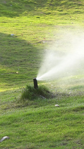 实拍草地喷水合集视频