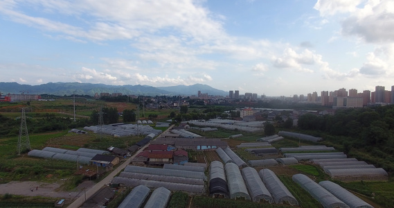 4K航拍农村大棚蔬菜基地视频