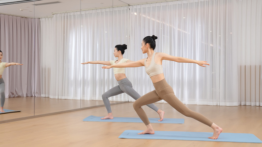 两个美女练习瑜伽动作视频