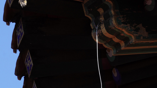 房顶中式古典建筑瑞兽镇宅五脊六兽 故宫 紫禁城 5A级景区 视频