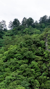 贵州世界遗产地喀斯特地貌航拍大自然视频