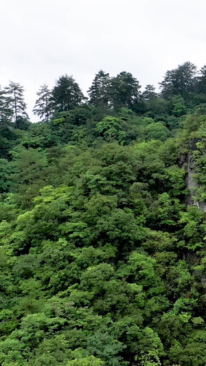 贵州世界遗产地喀斯特地貌航拍大自然53秒视频