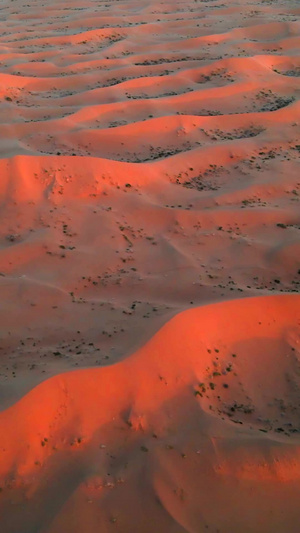 航拍夕阳下的腾格里沙漠10秒视频
