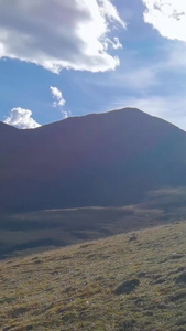 顶着烈日骑马登山的马队第一视角拍摄骑马第一视角视频