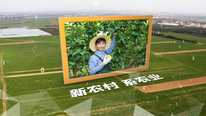 农民丰收节新农村新农业科技图文AE模板24秒视频