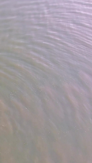在湖中冬泳的人7秒视频