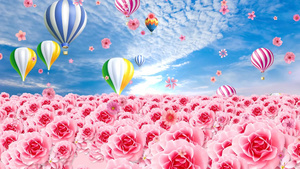 唯美的动态粉色花海热气球上升背景视频元素30秒视频
