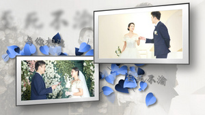 婚礼520表白情人节七夕节浪漫婚礼爱情图片相册花瓣演绎模板32秒视频