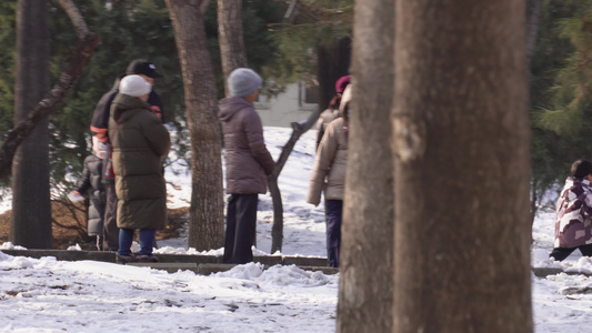 冬季下雪树林孩子打雪仗玩雪 视频