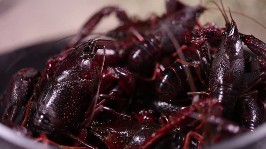 污染小龙虾食品安全视频