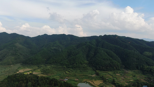 祖国大好河山山川森林植物竖屏航拍视频