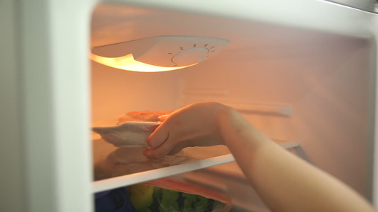 冰箱储存食物保鲜视频