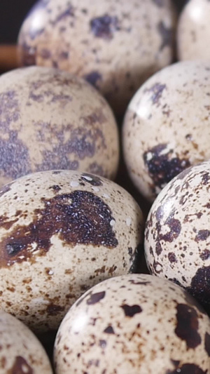 家禽鹌鹑蛋有机散养33秒视频