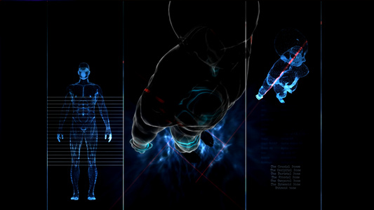 医学人体背景视频